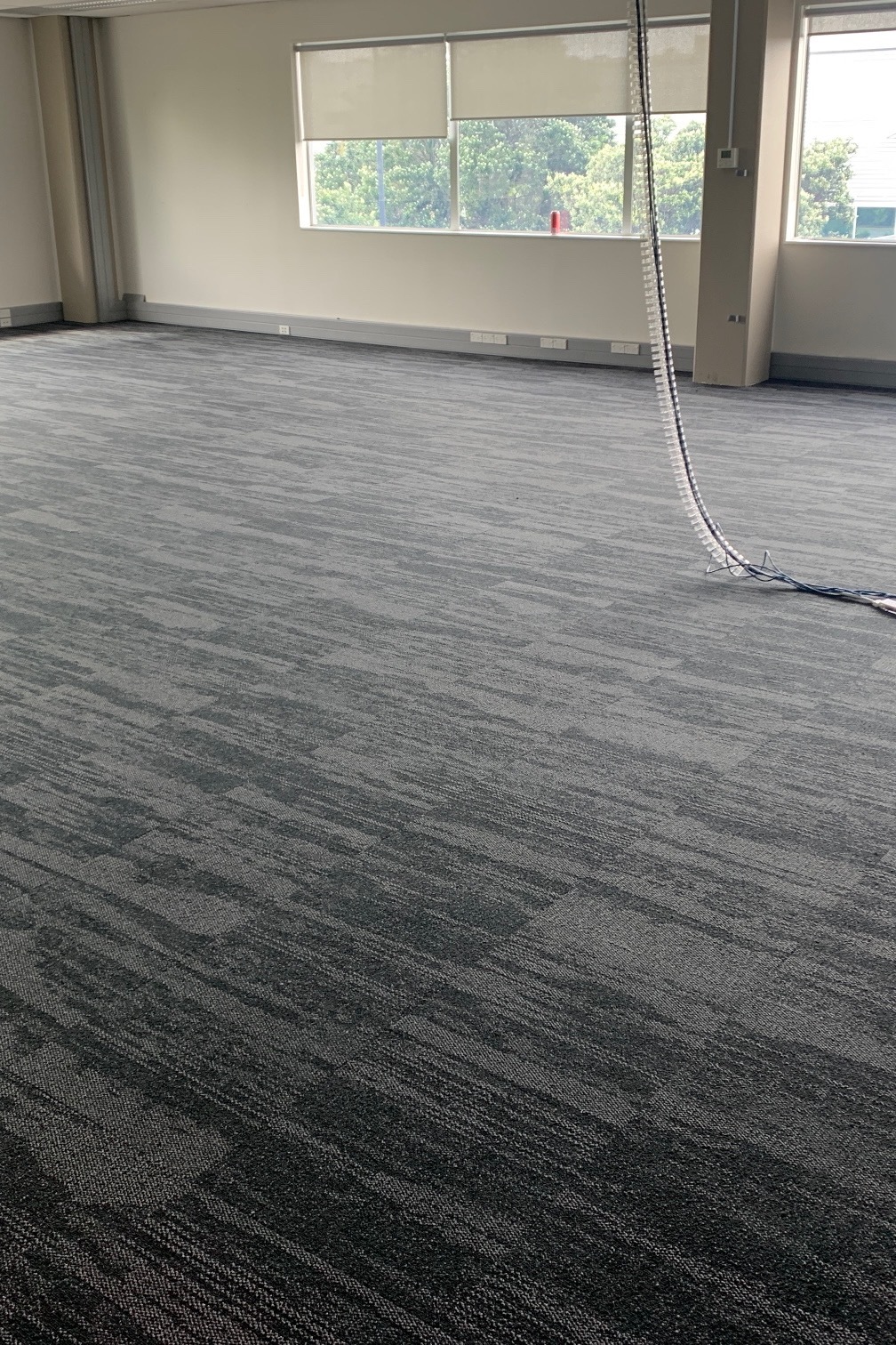 Dbo 4eb9a45d 7f0c 40ff a6cb 1db3b0e16cea